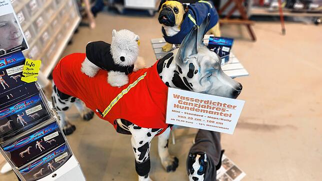 Bild 10: Bei der Messe &bdquo;Mein Hund&ldquo; schwingen Vier- und Zweibeiner gemeinsam das Tanzbein &ndash; Mit Video!