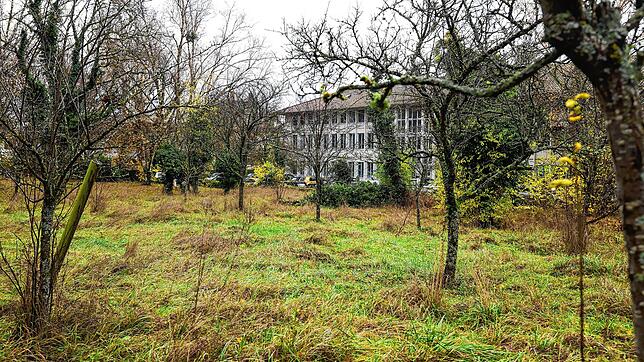 Die Mirabellenwiese, die zwischen dem Krankenhaus und dem Gesundheitsamt (im Bildhintergrund) im vorderen Bereich der Mettnau liegt. ...