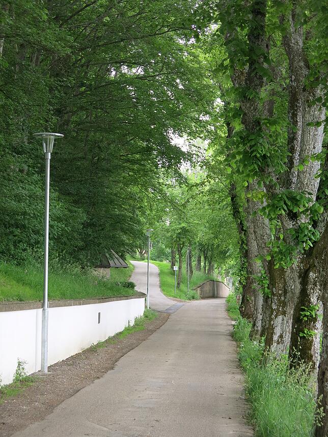 Der Philosophenweg, oberhalb der Kernstadt gelegen, lädt zum Nachdenken und Philosophieren ein.