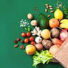 Vegane Ernährung wird immer beliebter. Und es gibt viele Gründe, die dafür sprechen, auf tierische Produkte zu verzichten.