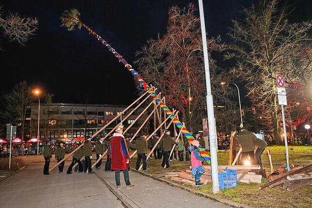 Bild 43: In Petershausen steht der Narrenbaum! Alle Fotos vom Freitagabend