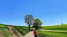 Die Landschaft auf dem Weg zum Bodensee ist reich an Natur.