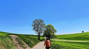 Die Landschaft auf dem Weg zum Bodensee ist reich an Natur.