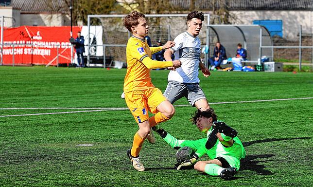 Bild 24: Starke Leistung gegen Hoffenheim! Bildergalerie vom Oberliga-Spiel der B-Jugend des FC Radolfzell