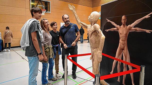 Besucher der Ausstellung „Der menschliche Körper – lernen von den Toten“ schauen sich im Jahr 2022 in Lauchringen eines der Präparate an.