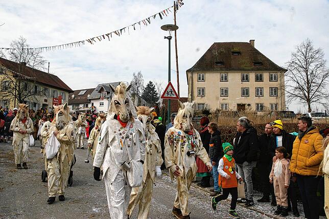 Bild 6: So schön war der Jubiläumsumzug zum 60 jährigen Bestehen der Sunnelöscherzunft