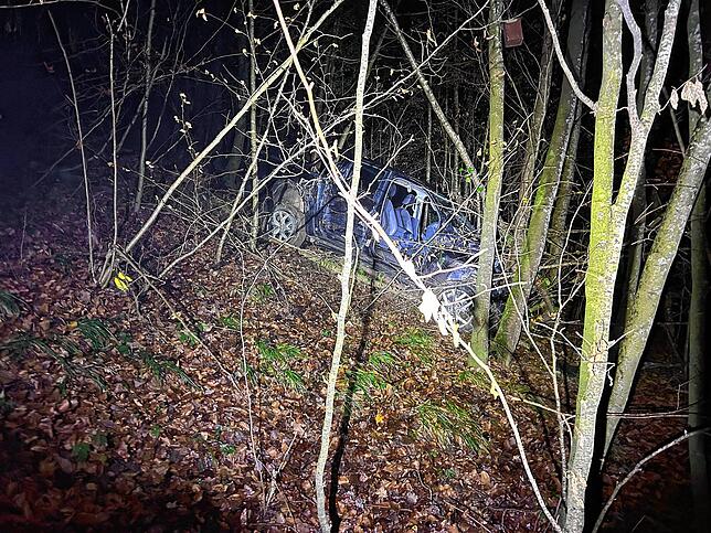 Ein Auto landet bei Künten im Kanton Aargau im Wald.