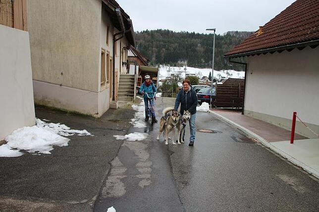 Stühlingen-Weizen: Die Bewohner von Weizen sehen Jessica Paulsen und ihre schnellen Hunde bis zu viermal wöchentlich in der kalten ...