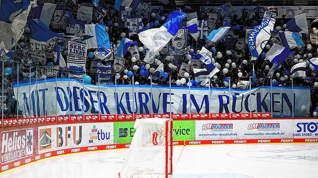 Den Einzug ins Playoff-Halbfinale haben die Schwenninger Wild Wings zwar knapp verpasst, die Anhänger des SERC dürfen aber optimistisch ...