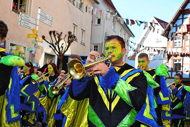 Bild 7: Bilder vom Umzug in Meßkirch (4)