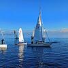 Ein Eindruck von der Eisernen Regatta im Jahr 2022: Segelboote verschiedener Klassen vor hellem Winterhimmel. Wegen des tragischen ...