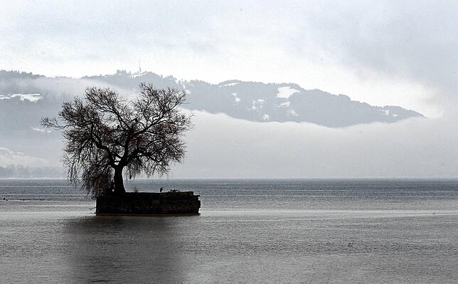 2019 wurde die Linde auf der Insel Hoy bei Lindau durch einen Sturm zerstört. Das Mauerwerk soll jetzt gerettet werden.