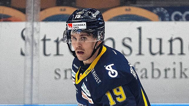 Der Schwede David Ullström hat bei den Wild Wings einen Vertrag bis Saisonende unterschrieben.