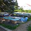 Im Garten von Helga und Christian Weißkopf in Ahausen haben die Igel überwintert, nun sollen sie nach und nach ausgewildert werden.