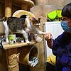 Es sieht fast so aus, als wollte sich Katze Ria bei Anne Juhre vom Tierschutzverein Friedrichshafen bedanken. Ria gehört zu den Katzen, ...