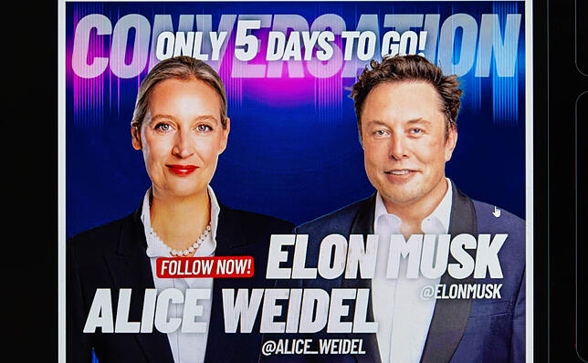 Alice Weidel, AfD-Bundesvorsitzende, sprach kürzlich per TV-Liveschalte mit Tech-Milliardär Elon Musk.
