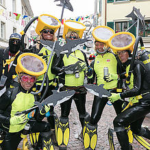 Bild :