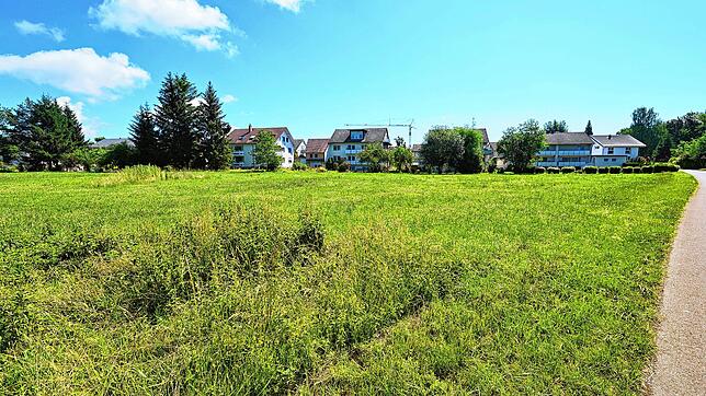 Die Nezfeldwies am westlichen Ortsrand von Böhringen. Hier sollen zwölf neue Wohngebäude mit 100 Wohneinheiten entstehen. Am rechten ...