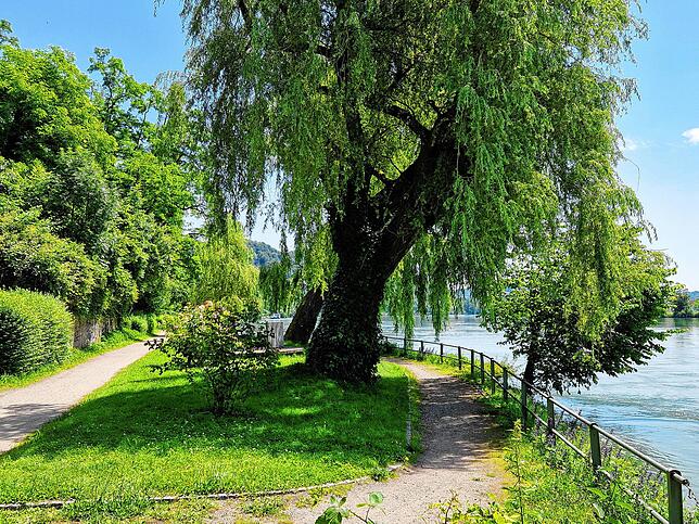 Waldshut ist vielfältig, gerade entlang der Rheinpromenade lässt es sich auch gut erholen.