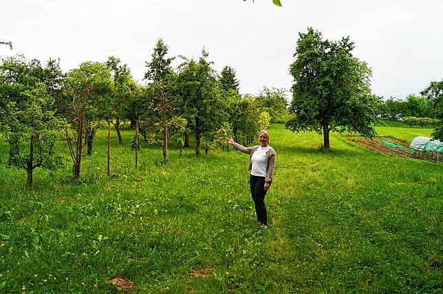 Die Entwicklung neuer Wohngebiete, wie hier das vorgesehene Plangebiet Hofacker, findet Daniela Warnkönig spannend und arbeitsintensiv ...