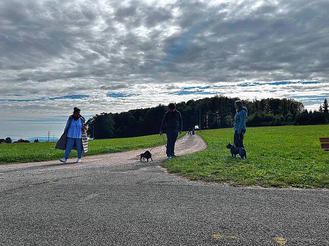 Dirk Schneider und Frieda während des Prüfungsteils B „Grünanlage und Hundeauslaufgebiet“: Dabei werden potenzielle ...
