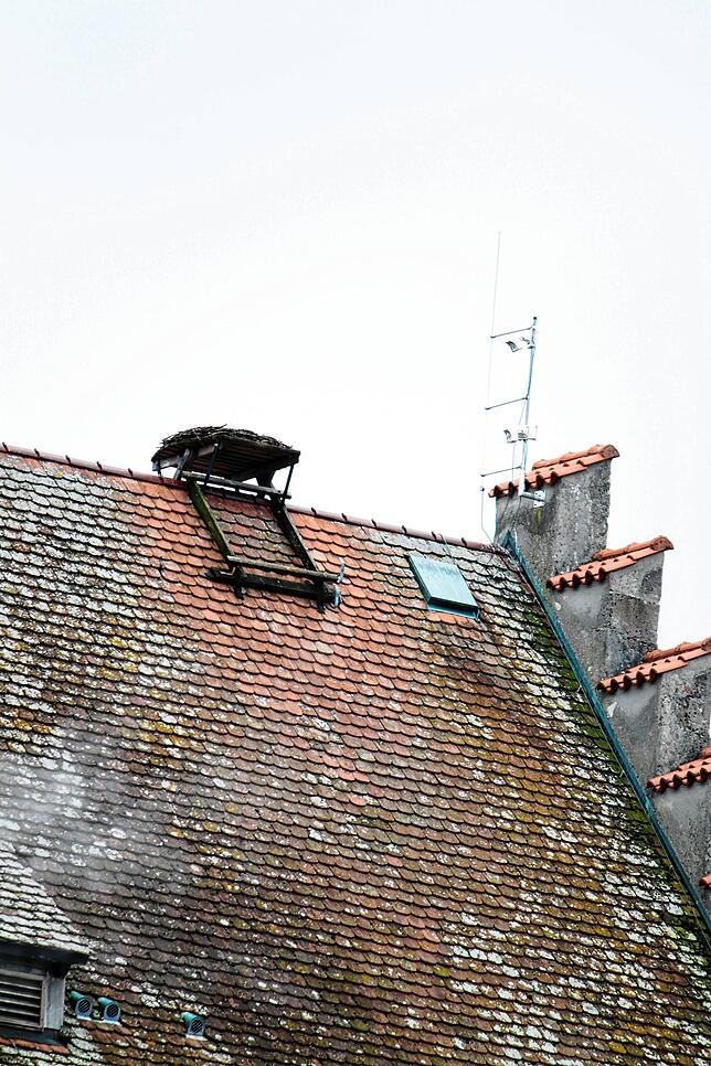 Bild 2: Verwaistes Nest auf dem Bischofsschloss: Wo sind die Störche?