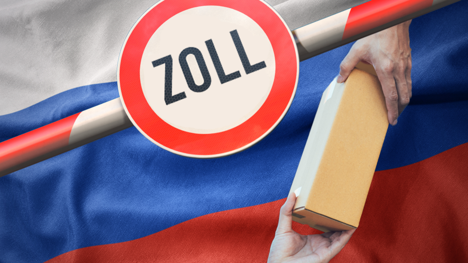 Nach Beginn des Krieges haben westliche Länder Maßnahmen gegen Russland beschlossen, trotzdem gehen dem Land Geld und Waffen nicht aus.