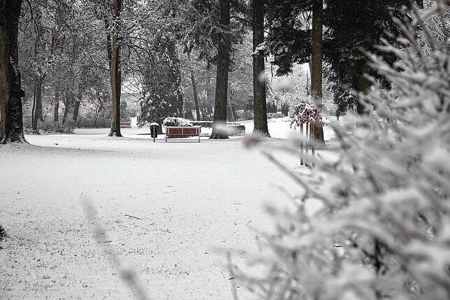 Im Stadtgarten rieselt leise der Schnee. Ein Passant sagt zum SÜDKURIER-Fotograf: &bdquo;Es ist so friedlich. Fast, als wäre alles ...