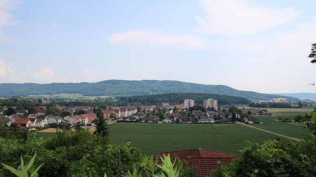 Hier wäre Platz: Am Rand von Rielasingen-Worblingen ist ein Neubaugebiet geplant. Eine CSU-Politiker regt nun an, auf solchen Flächen ...