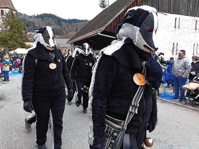 Bild 10: Die schönsten Bilder vom großen Habufa-Umzug in Hasel (1)
