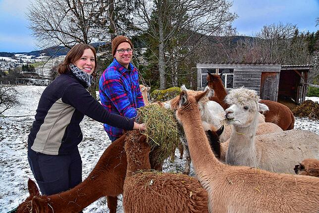 Steffi und Andreas Grimm inmitten ihrer Alpakaherde. 16 dieser flauschigen Tiere tummeln sich auf dem Gelände am Prechtberg bei ...