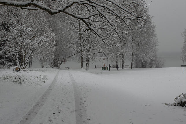 Hier hat der Schnee die Natur in ein Winterwunderland verwandelt.