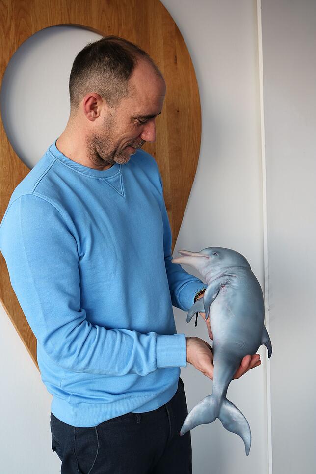 In den sozialen Medien hatte dieses vermeintlich tote Delfin-Baby für ordentlich Wirbel gesorgt.