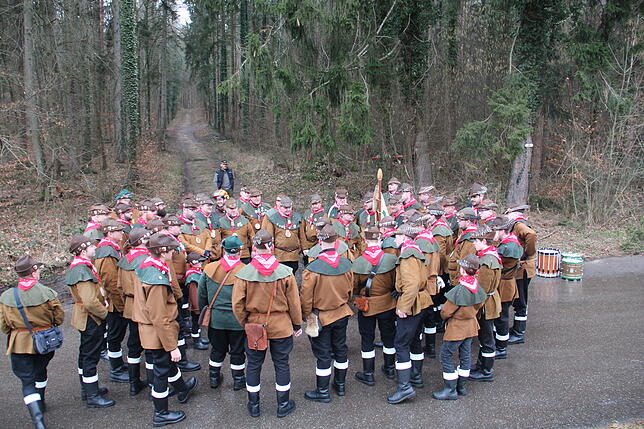 Bild 4: So kommt der Narrenbaum vom Wald in die Stadt