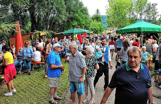 Bild 6: Tausende Besucher an der Bohlinger Sichelhenke