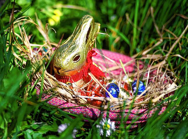 Ein Osternest mit Schokohase und Schokoladeneiern ist im Garten zwischen Frühlingsblumen versteckt. Ist die Osternestsuche auch in ...