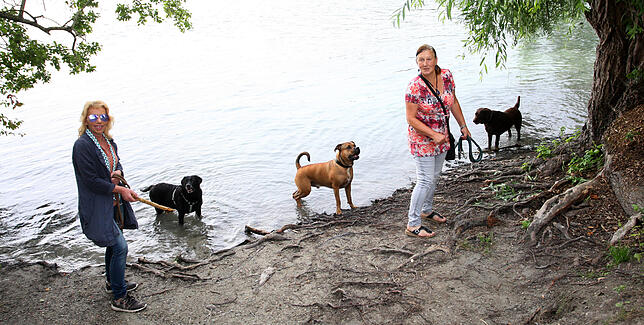 Auch die Hunde wollen mal baden. Brigitte Maierhofer (links) und Andrea Kienzle-Angelidis (rechts) suchen schon ruhige Stellen am Rhein ...