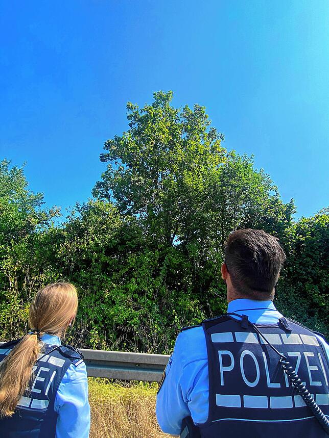 Viel Abstand zwischen Berberaffen und Polizeibeamten.