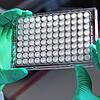 23.03.2020, Bayern, München: Eine Mitarbeiterin am Institut für Virologie der technischen Universität München (TUM) hält eine ...