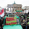 Tausende Bauern demonstrierten im November in Berlin gegen die Landwirtschaftspolitik. Auch aus der Südbaden kamen sie angereist. Bild: dpa