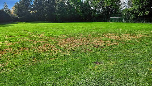 Über das gesamte Spielfeld des Bolzplatzes beim SC Markdorf, den der Verein auch als Trainingsgelände nutzt, ziehen sich die Furchen, ...