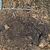 So haben Archäologen das Steinzeitgrab im Bereich Ziegeleschle II im Boden vorgefunden. Neben Gebeinen eines frühen Bewohners der Region ...