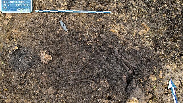 So haben Archäologen das Steinzeitgrab im Bereich Ziegeleschle II im Boden vorgefunden. Neben Gebeinen eines frühen Bewohners der Region ...