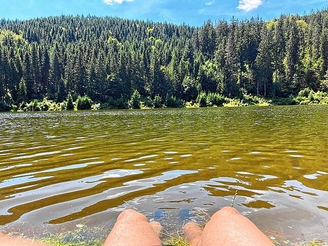 Der Linachstausee, hier kann man die Füße ins Wasser strecken. Aber Vorsicht, sollte man hier aus Versehen hineinfallen, dann rettet ...