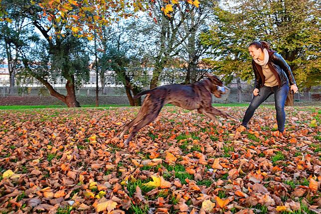 Hundetrainerin Jacqueline Schindler und ihr Hund Lipton im Überlinger Ostbad beim Spielen.