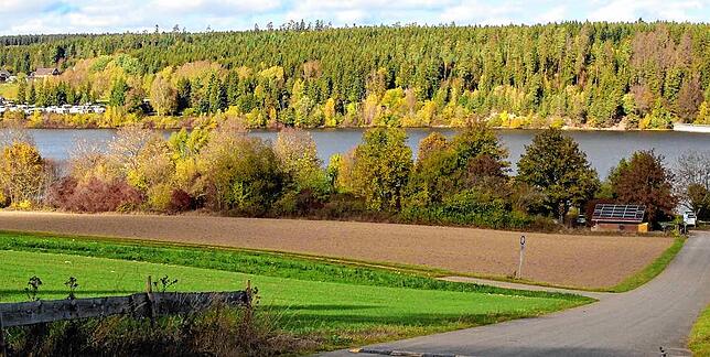 Der Kirnbergsee im Herbst. Hier werden Grau-und Nilgänse bejagt, sobald die Modalitäten feststehen.