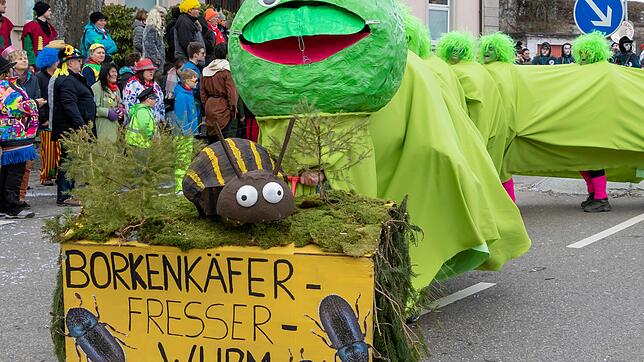 Borkenkäferfresser: Narren haben die Idee für den Forst Bilder: Wilfried Dieckmann