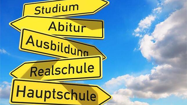 Was soll ich nach der Schule machen? Das Schulprojekt Bors hilft den Schülern bei der Entscheidungsfindung.
