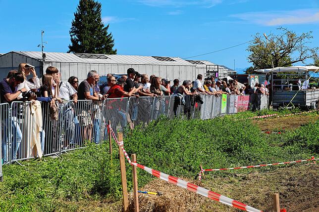 Bild 18: Mofarennen 2025 auf der Insel Reichenau: Spektakel auf zwei Rädern – heiße Öfen, schnelle Action!