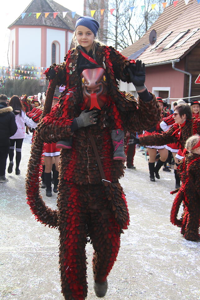 Bild 19: Bilder zum Narrentreffen in Schwerzen (1)